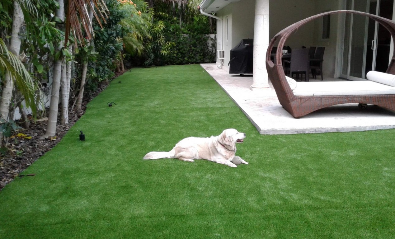 Residential artificial grass installation in backyard with pet-friendly turf in Apopka, FL